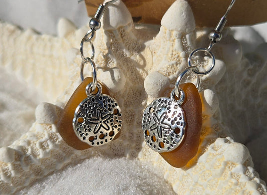 Brown Sand Dollar Seaglass Earrings